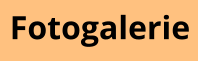 Fotogalerie