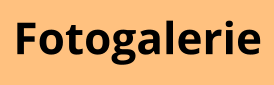 Fotogalerie